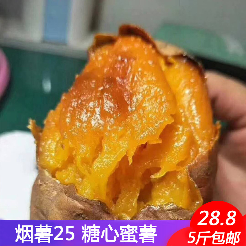 山东烟薯25糖心流油烟台蜜薯地瓜沙地农家糖心新鲜红薯蜜薯番包邮|msdalam kategori daging perikanan/Buah-buahan segar dan sayur-sayuran/dimasak, sayur-sayuran segar/Vegetable Products, sayur-sayuran segar, ubi keledek - dari Buy2taobao.com untuk memberikan perkhidmatan ejen Taobao profesional membeli