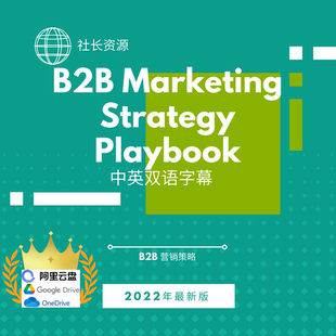 Marketing B2B Strategy Playbook B2B营销教程中英文字幕