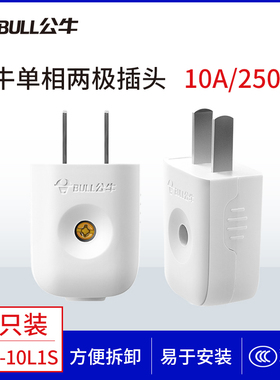 公牛10A插头电线二头两脚接线两孔两角项电源2脚二脚二极GNT10L1S