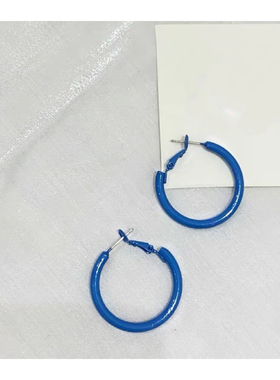 蓝色圆圈耳环女2025新款气质高级轻奢耳坠耳饰女6997