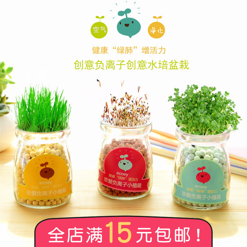 Ë®ÅàÅèÔÔ´´Òâ°ì¹«ÊÒDIY¸ºÀë×ÓСÅè¾° ×ÀÃæÃÔÄã¿É°®Ð¡²Ý΢¾°¹ÛÖ²Îï