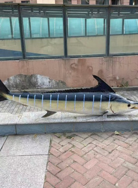 标本生物模型科普教学大型鱼定制