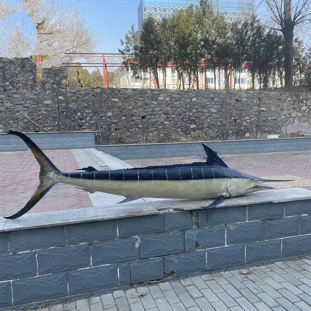 加工定制旗鱼各类海洋淡水真鱼标本动物摆件科普生态展览生物教具