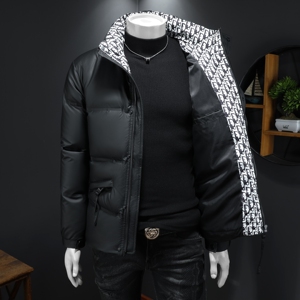 2025秋冬装90%绒立领羽绒服男 钱塘6006-5110-P330 假模图图片
