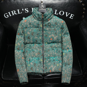 2025秋冬装90%绒立领羽绒服男 钱塘6006-5311-P310 沙发图图片