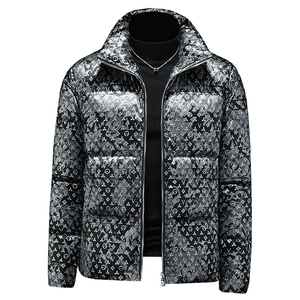2025秋冬装90%绒立领羽绒服男 钱塘6006-5312-P310 假模图图片