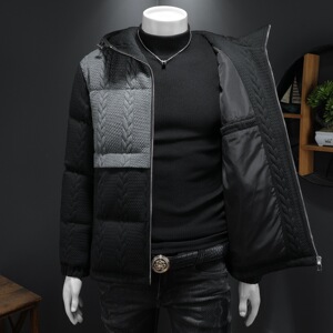 2025秋冬装90%绒立领羽绒服男 钱塘6006-5118-P330 假模图图片