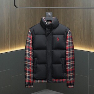 2025秋冬装90%绒连帽羽绒服男 钱塘6006-5117-P330 沙发图图片