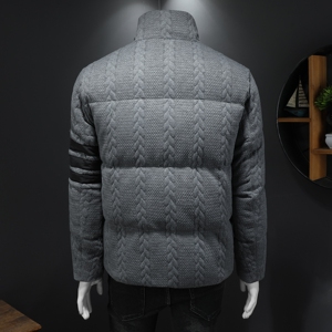 2025秋冬装90%绒立领羽绒服男 钱塘6006-5310-P310 假模图图片