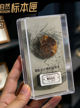 菊石标本匣生日礼物科普纪念