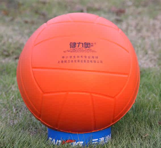 Ballon de volley-ball - Ref 2011624 Image 1