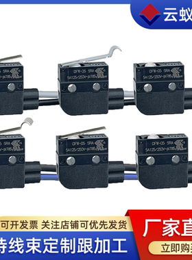 DFW超小型大电流防水微动开关ZMT