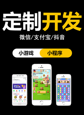 计算机编程源码定制python代作业编程玩具代码问题解决pygame