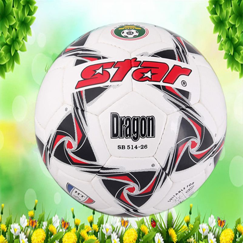 Ballon de foot - Ref 5308 Image 2