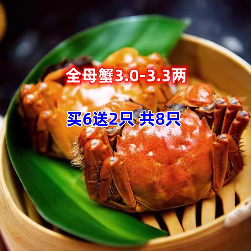 活蟹全母蟹8只3.0-3.3两
