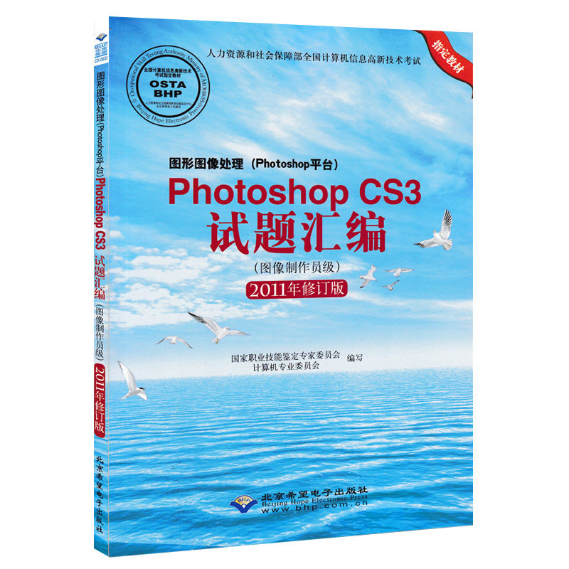 CS2011