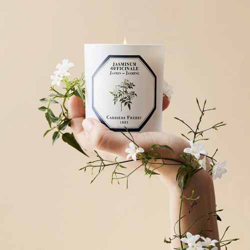 植物学家手工礼盒卧室香薰蜡烛