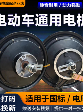 电动车电机10寸大功率改装2000W1500W台铃小刀金箭电瓶车通用电机