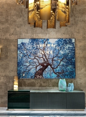 Visionnaire 意大利进口家具 电视装饰柜地柜