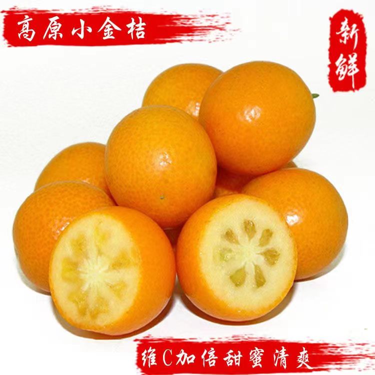 黄皮金桔新鲜水果画皮脆皮蜜金橘桔子