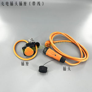 五菱电动车怡达充电枪Y30 220V 16A通用观光车充电枪充电插座朗晴