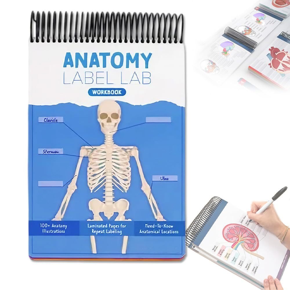 跨境新品 Anatomy Label Lab Workbook 人体解剖标签实验室工作簿