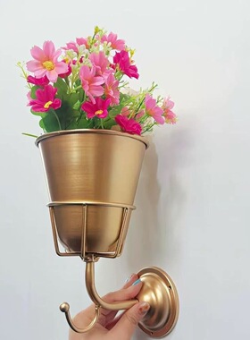 跨境新品Opal Wall Vessel挂钩花盆架一体金属创意壁挂家居装饰品