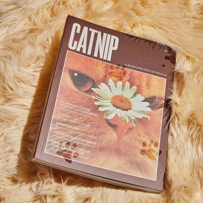 独立站新品 Catnip Magazine Series 猫薄荷杂志宠物猫咪系列书本