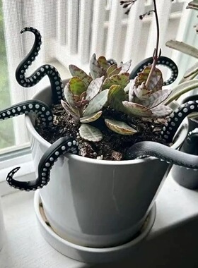 海怪章鱼触手7件套花盆摆件跨境Set of 7 Sea monster Tentacles