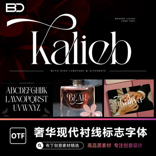 婚礼邀请函Logo高级欧式奢华自由花体衬线英文字体pr安装包PS字体