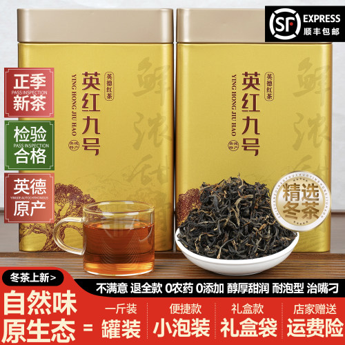当季春茶正宗英德红茶英红九号茶