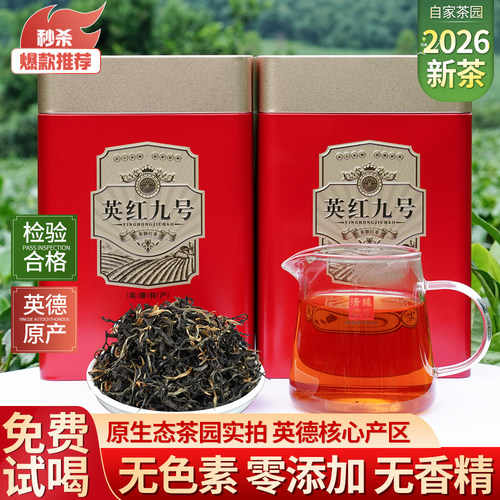英德红茶英红九号一级红茶罐装