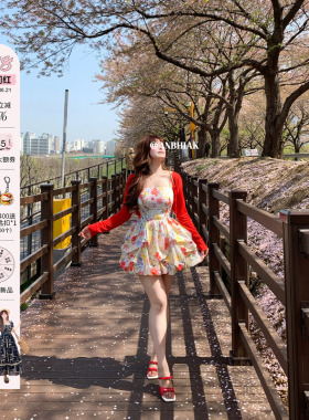 安妮不火 100%棉油画印花高腰花苞连衣裙女微胖大码渡假风两件套