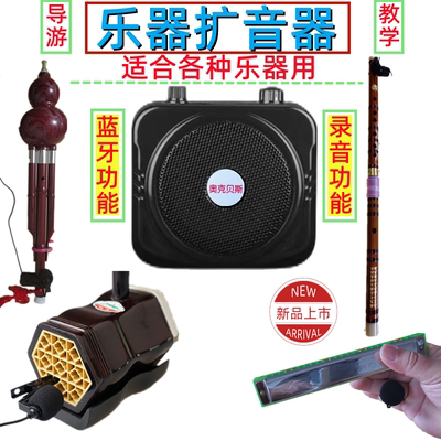 奥克贝斯蓝牙乐器扩音器