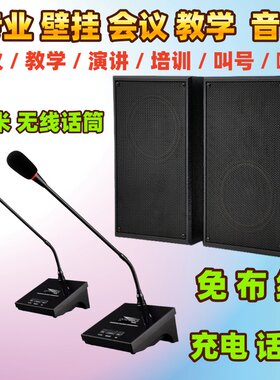 奥莱贝特无线麦克风话筒壁挂音响