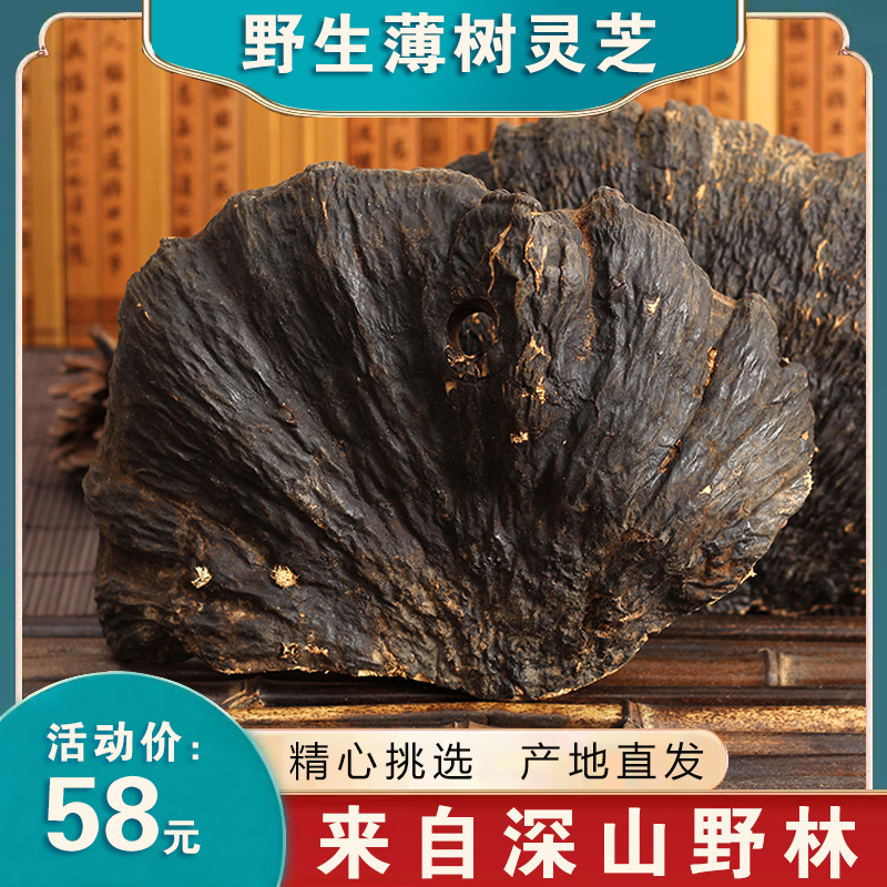正品野生灵芝 薄盖芝 薄树芝 云南深山天然薄树灵芝茶黑芝可切片