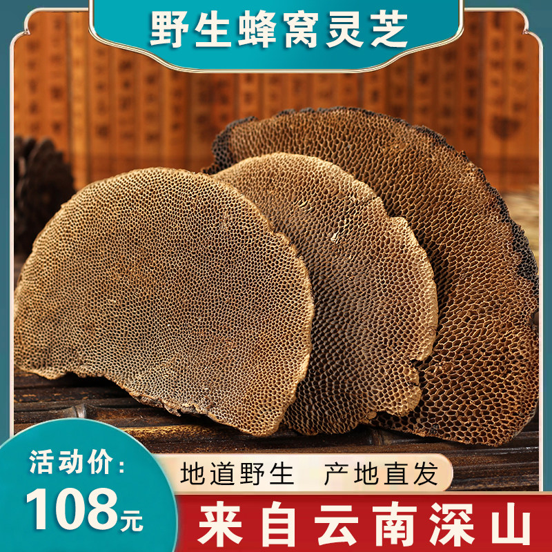 野生蜂窝灵芝 云南整枝灵芝 野生毛蜂窝菌250克蜂窝层孔菌龙眼树