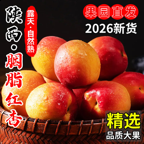 陕西特产胭脂贵妃红杏