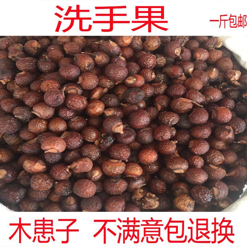 洗手果 中药材 野生新品500g包邮木患子肥皂树菩提子圆皂角无患籽