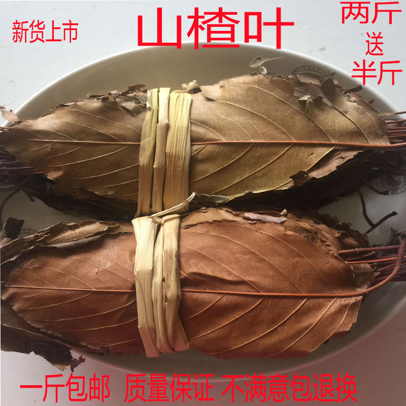 广西天然野生中药材山楂叶 手工扎把 新品上市促销500g包邮泡茶佳