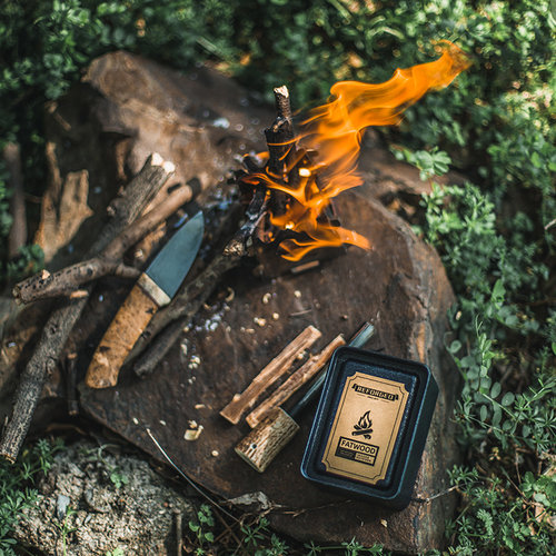 Reforged环保引燃松明木