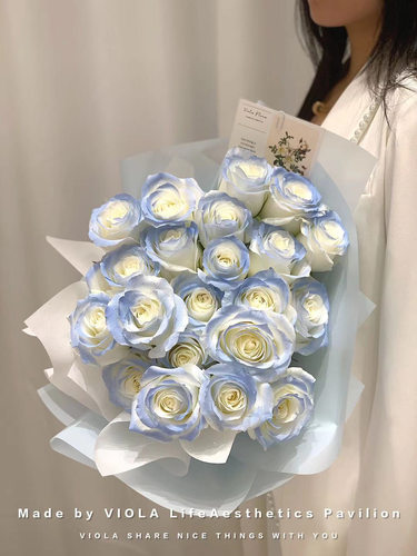 七夕抖音网红密西根玫瑰同城配送