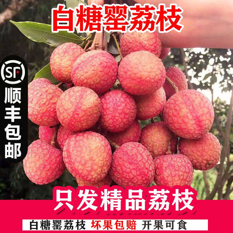 现摘现发茂名高州荔枝新鲜白糖罂应当季水果顺丰包邮整箱礼盒_虎窝淘