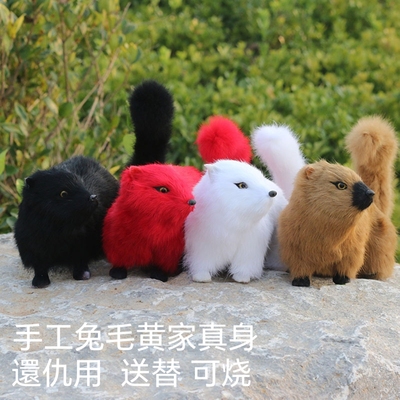 黄鼠狼黄鼬黄家真身堂口用品可烧