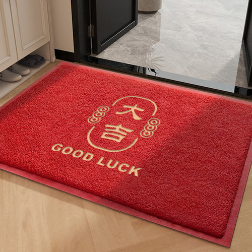 入户门地垫进门脚垫高级感丝圈门口地毯出入平安门垫入门蹭脚垫子