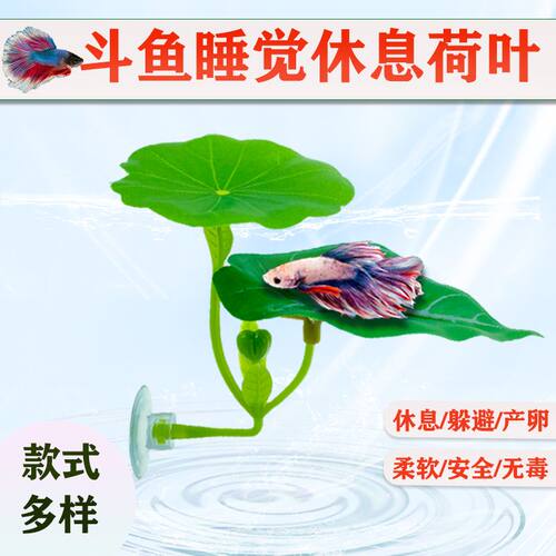 水族鱼缸造景摆件泰国斗鱼睡觉休息产卵叶仿真叶子鱼宠物装饰躲避