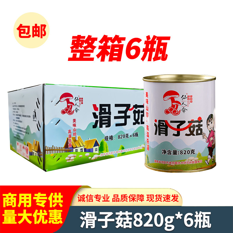 滑子菇820g罐装清水滑菇罐头野生菌火锅煲汤食用蘑菇菌子餐饮商用