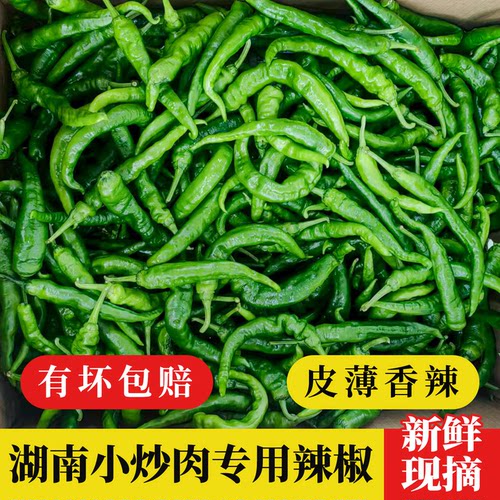 湘佰味新鲜本地现摘小炒肉青辣椒