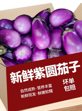湖南紫圆茄子新鲜紫色大茄子蔬菜批发农家软糯紫茄特色菜时令季节