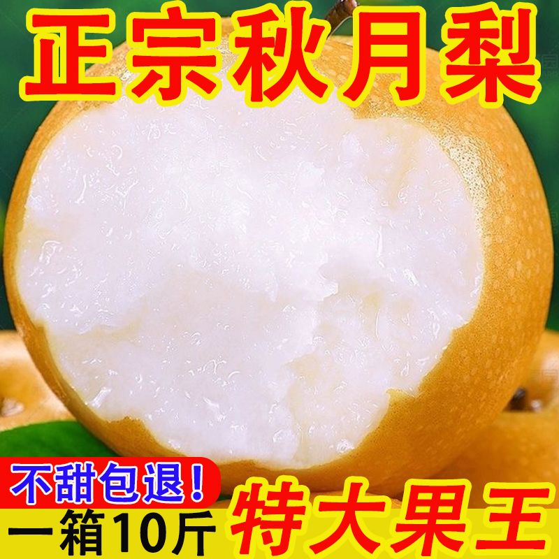 2026正宗秋月梨脆甜特产冰糖梨